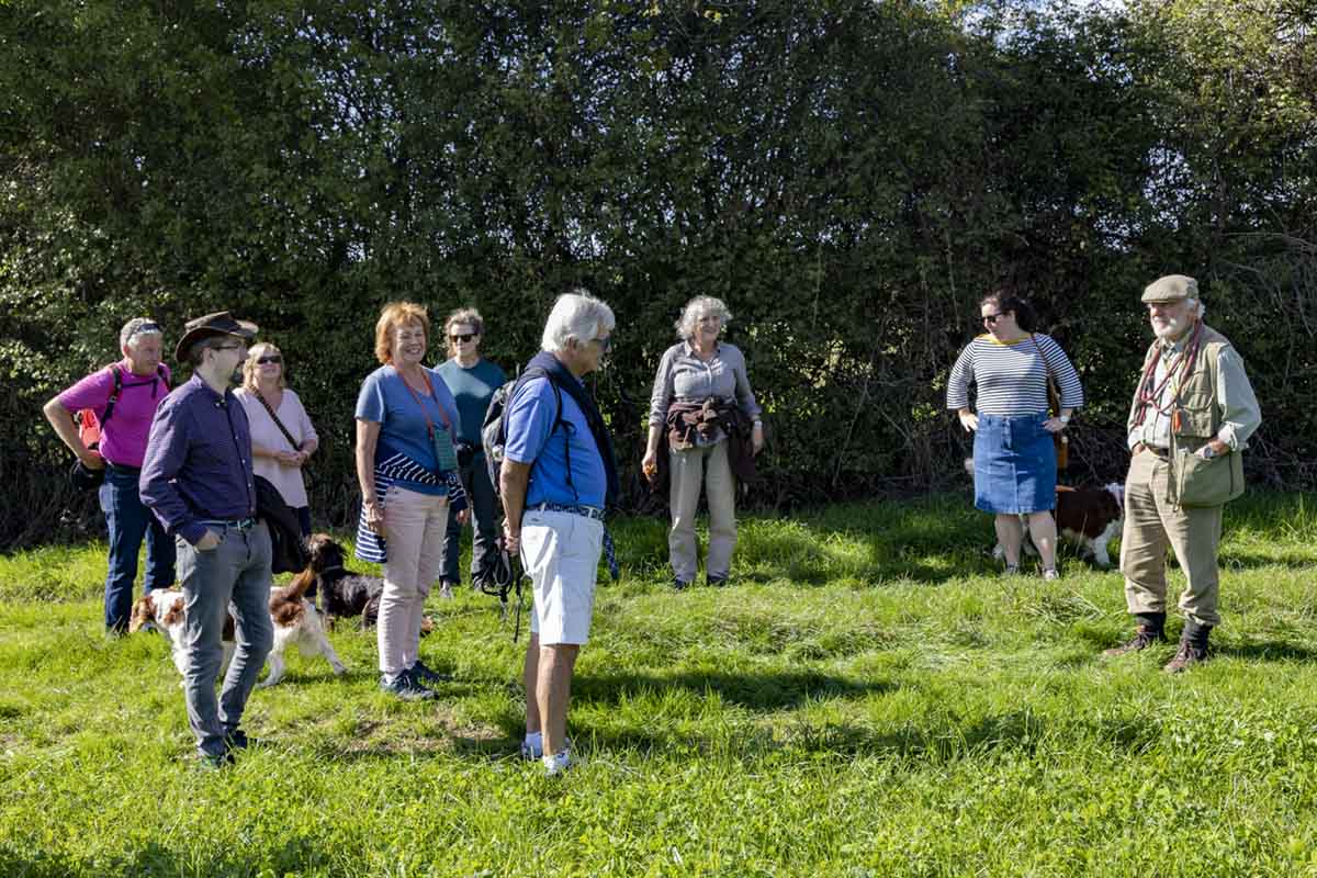 Explanations before the 'off'